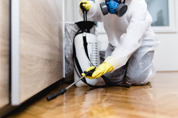 Best Commercial Pest Control Services  in New Wilmington, PA