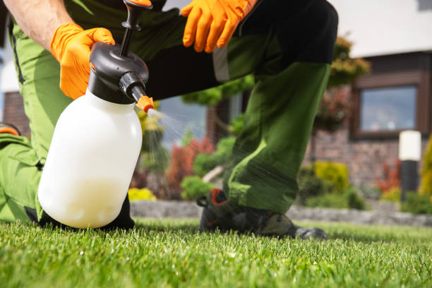 Best Flea Control Services  in New Wilmington, PA