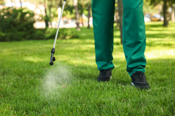 Best Rat Extermination Near Me  in New Wilmington, PA