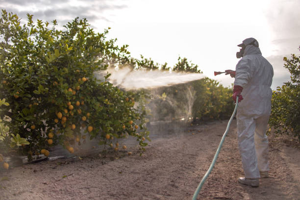 Best Best Pest Control Companies  in New Wilmington, PA