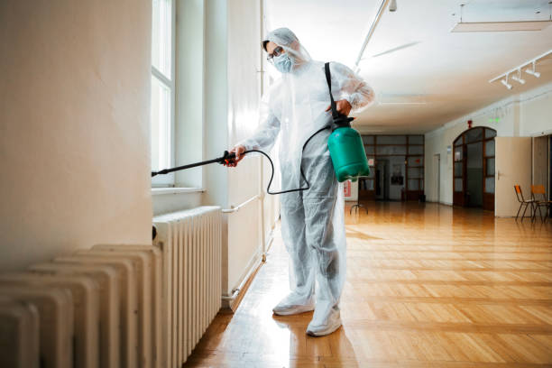 Best Local Pest Control Services  in New Wilmington, PA
