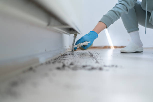 Best Cockroach Control Services  in New Wilmington, PA